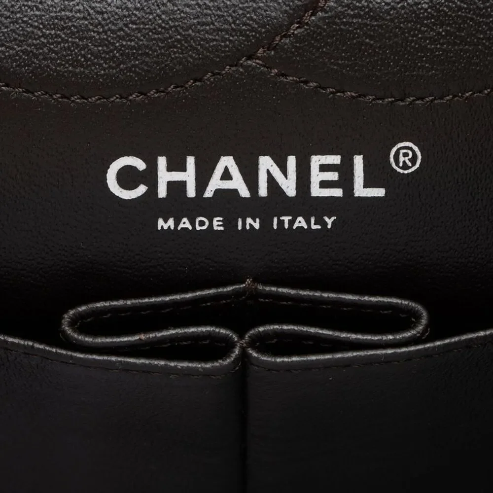 Chanel Iridescent Calfskin Reissue 227 Double Flap Bag